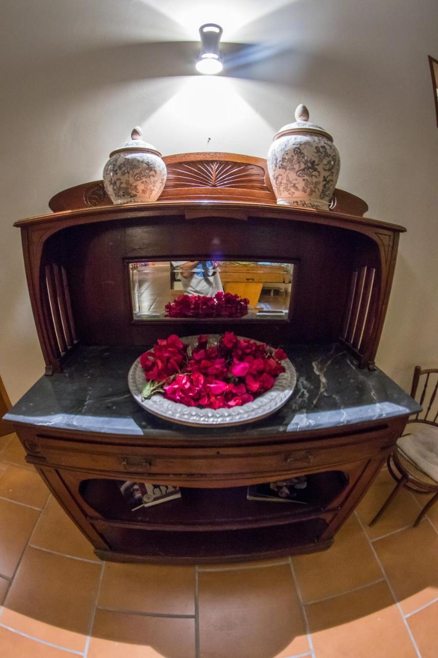 Monteverde Boutique Hotel 帕卡斯马约 外观 照片