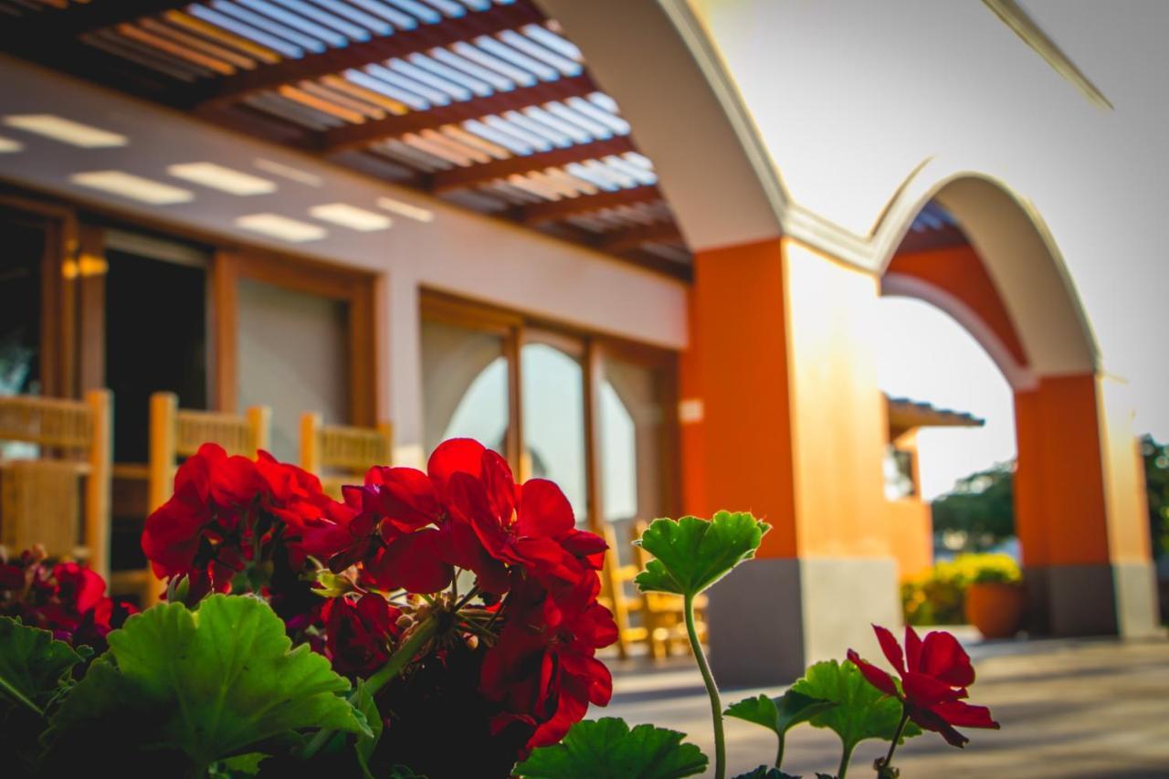 Monteverde Boutique Hotel 帕卡斯马约 外观 照片