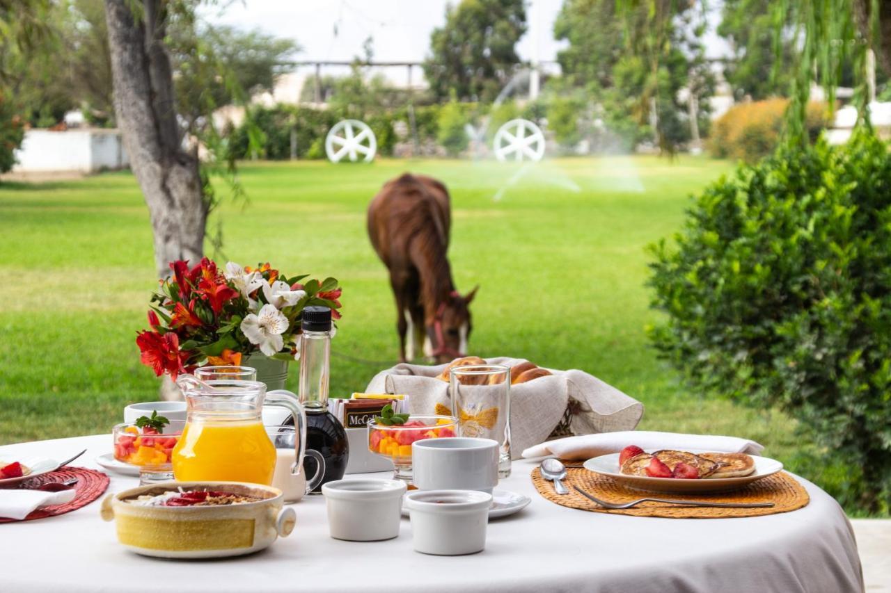 Monteverde Boutique Hotel 帕卡斯马约 外观 照片