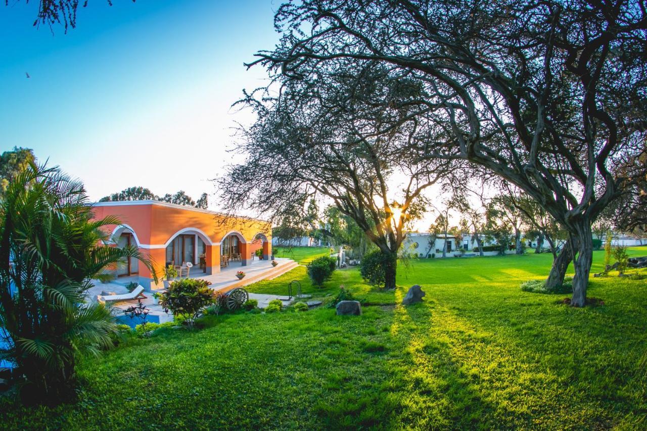 Monteverde Boutique Hotel 帕卡斯马约 外观 照片
